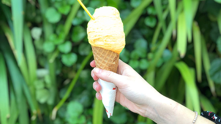 Yellow coloured ice cream in a cone in front of green plants
